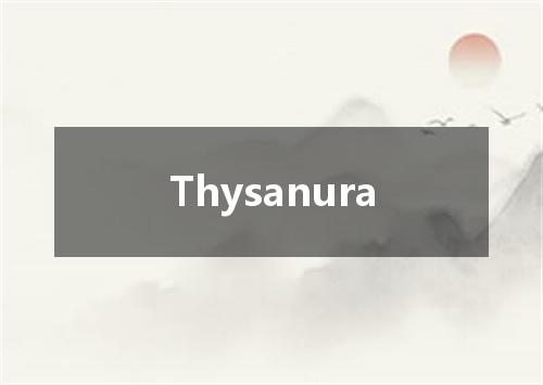Thysanura是什么意思