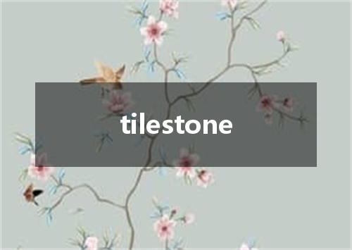 tilestone是什么意思