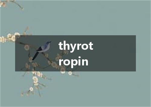 thyrotropin是什么意思