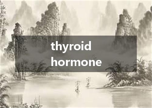 thyroid hormone是什么意思