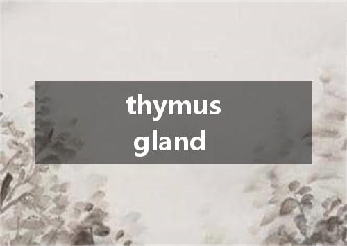 thymus gland是什么意思