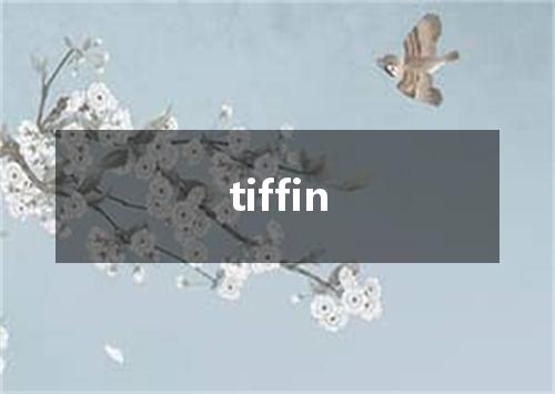 tiffin是什么意思
