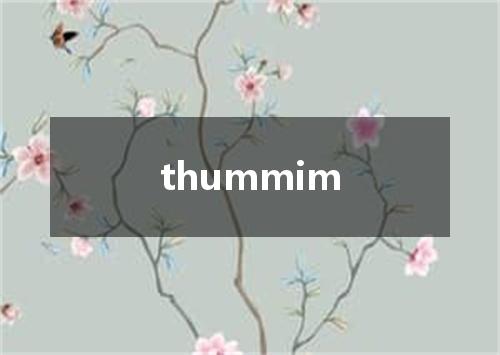 thummim是什么意思
