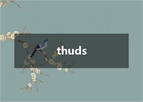 thuds是什么意思