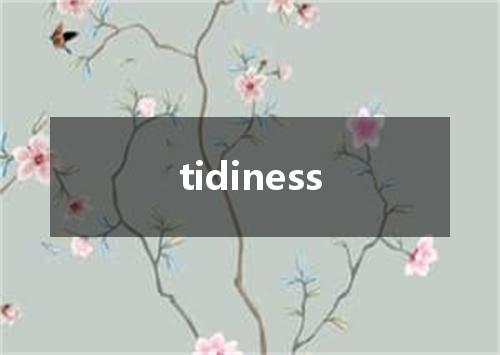 tidiness是什么意思