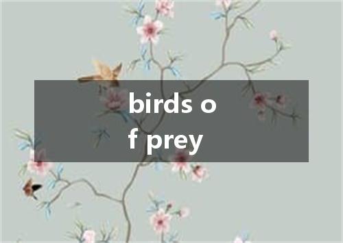 birds of prey是什么意思