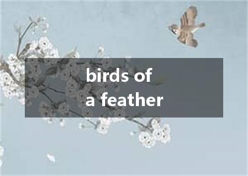 birds of a feather是什么意思