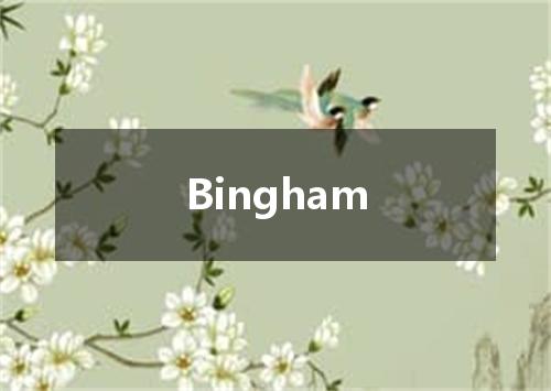 Bingham是什么意思