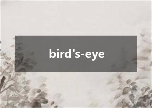 bird's-eye是什么意思