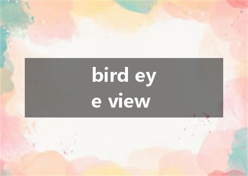 bird eye view是什么意思