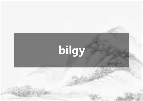 bilgy是什么意思