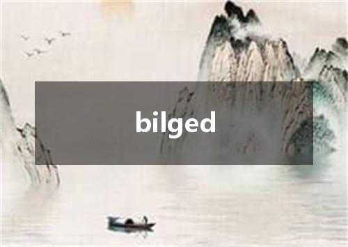 bilged是什么意思