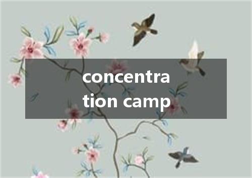 concentration camp是什么意思