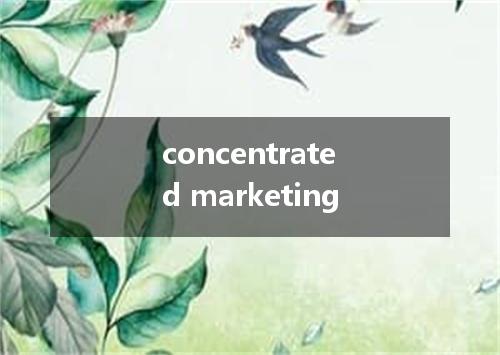 concentrated marketing是什么意思