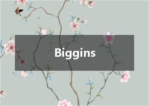Biggins是什么意思