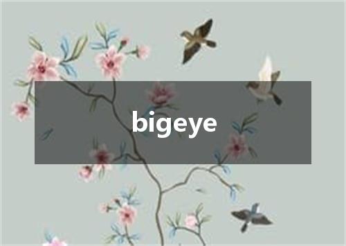 bigeye是什么意思