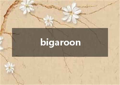 bigaroon是什么意思
