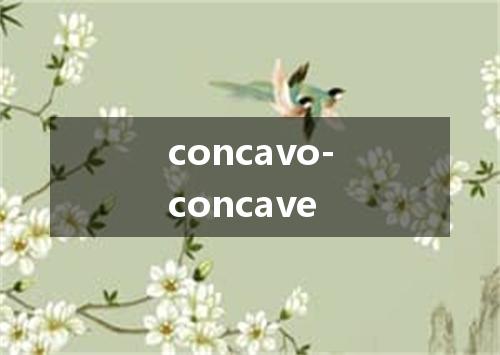 concavo-concave是什么意思
