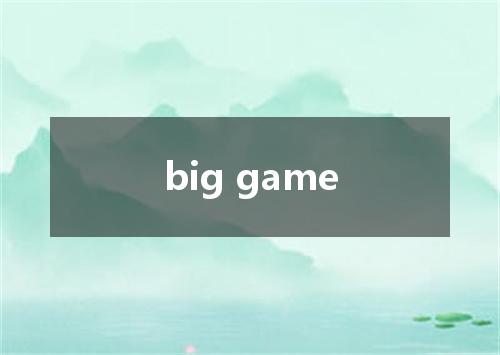 big game是什么意思