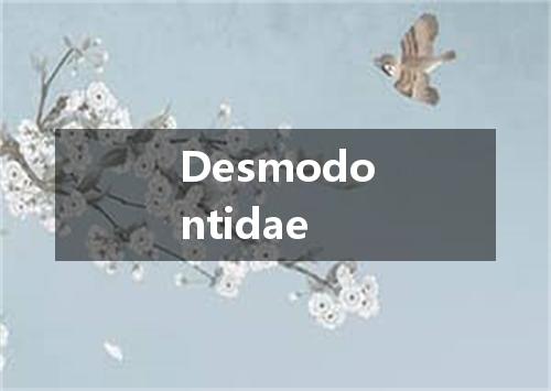 Desmodontidae是什么意思