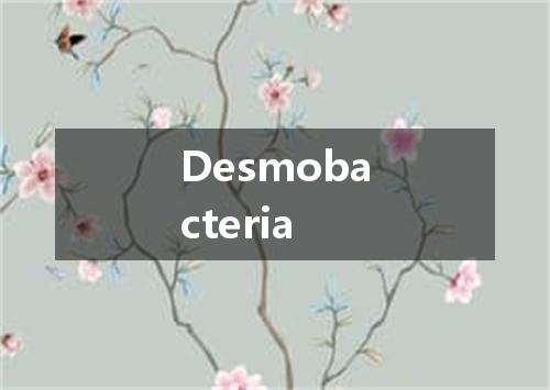Desmobacteria是什么意思