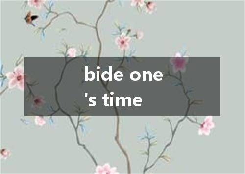 bide one's time是什么意思