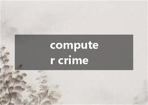 computer crime是什么意思