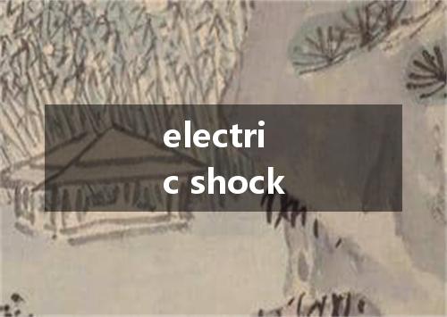 electric shock是什么意思