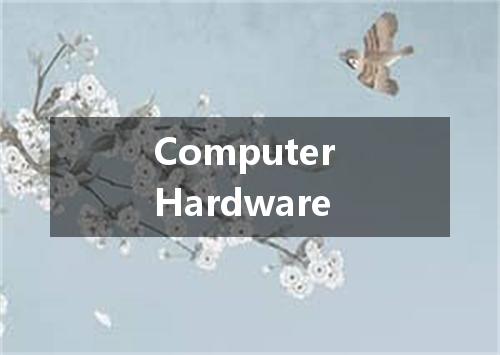 Computer Hardware是什么意思