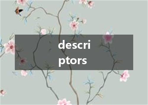 descriptors是什么意思