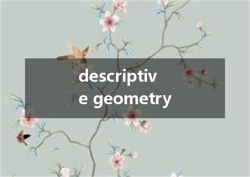 descriptive geometry是什么意思