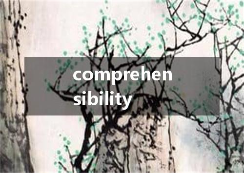 comprehensibility是什么意思