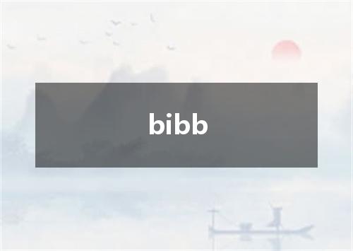 bibb是什么意思