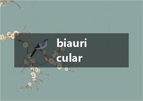 biauricular是什么意思
