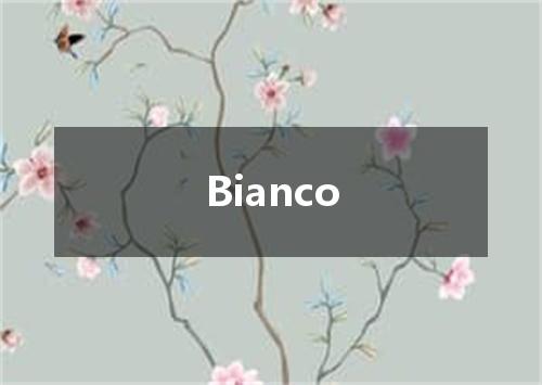 Bianco是什么意思