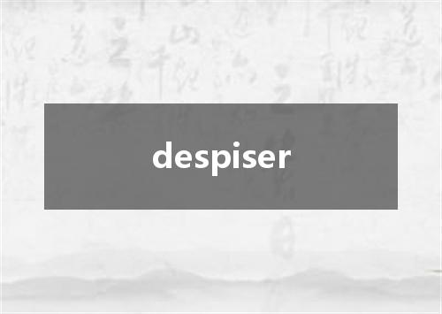 despiser是什么意思