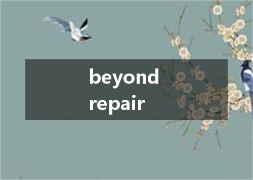 beyond repair是什么意思