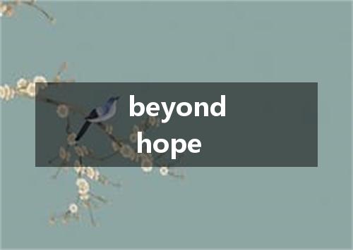 beyond hope是什么意思