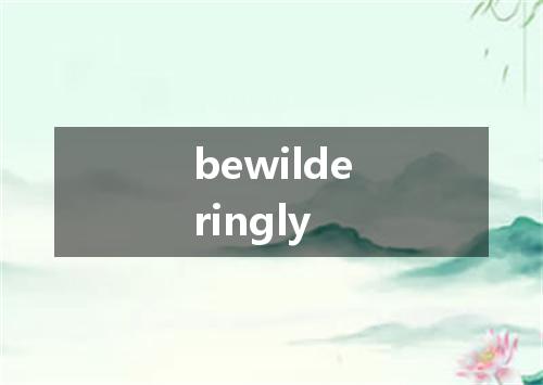bewilderingly是什么意思