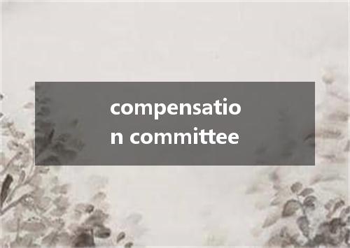 compensation committee是什么意思
