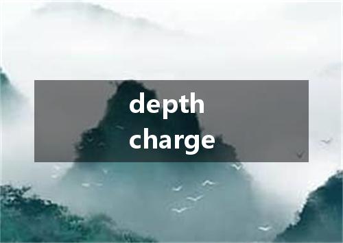depth charge是什么意思