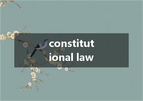 constitutional law是什么意思