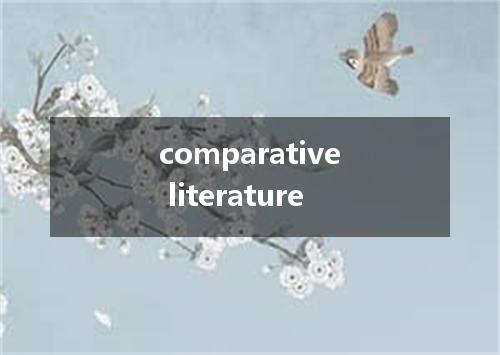 comparative literature是什么意思