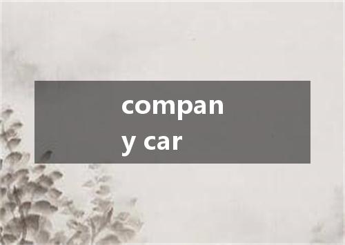 company car是什么意思