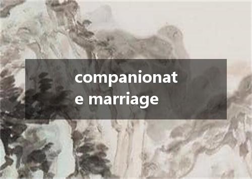companionate marriage是什么意思