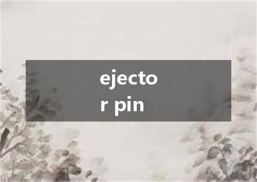 ejector pin是什么意思