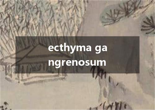 ecthyma gangrenosum是什么意思