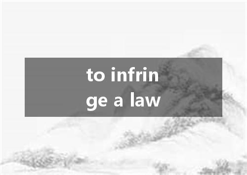 to infringe a law是什么意思