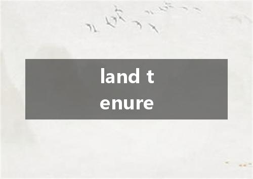 land tenure是什么意思