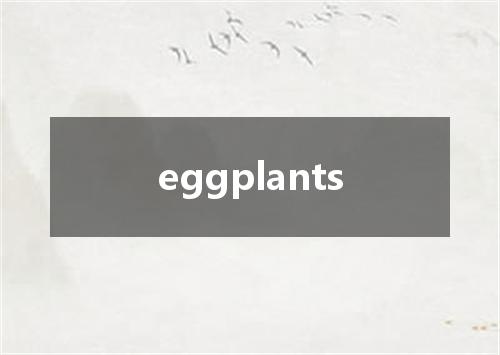 eggplants是什么意思